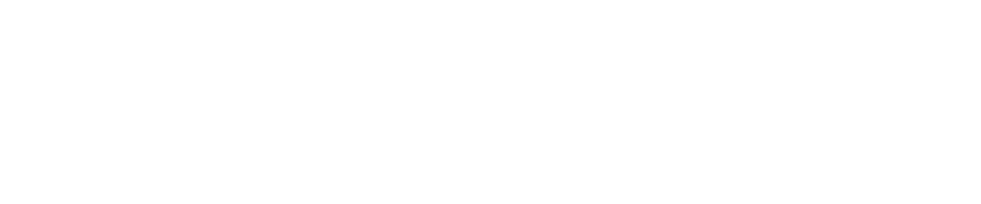 valor logo – white